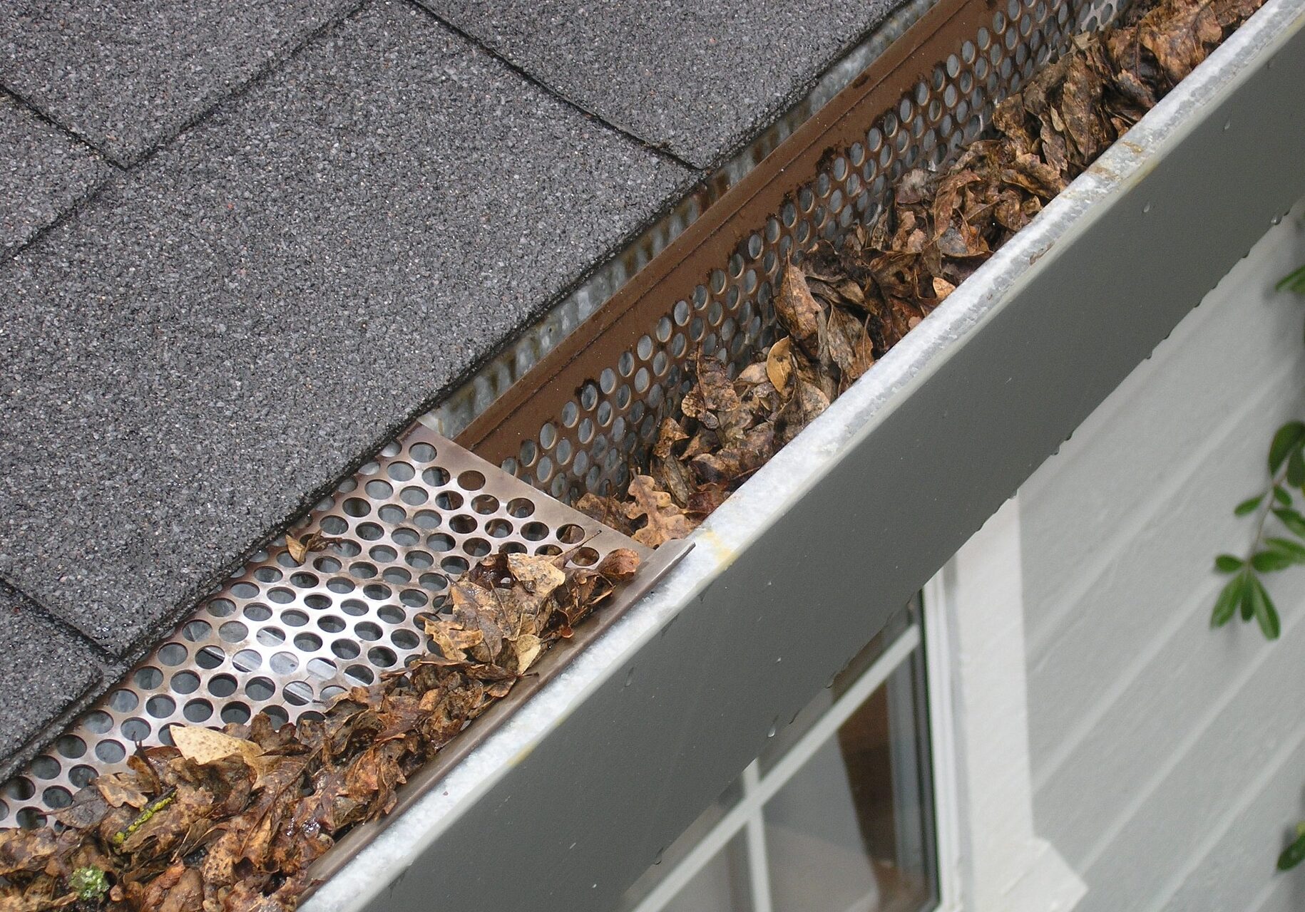Dirty gutter
