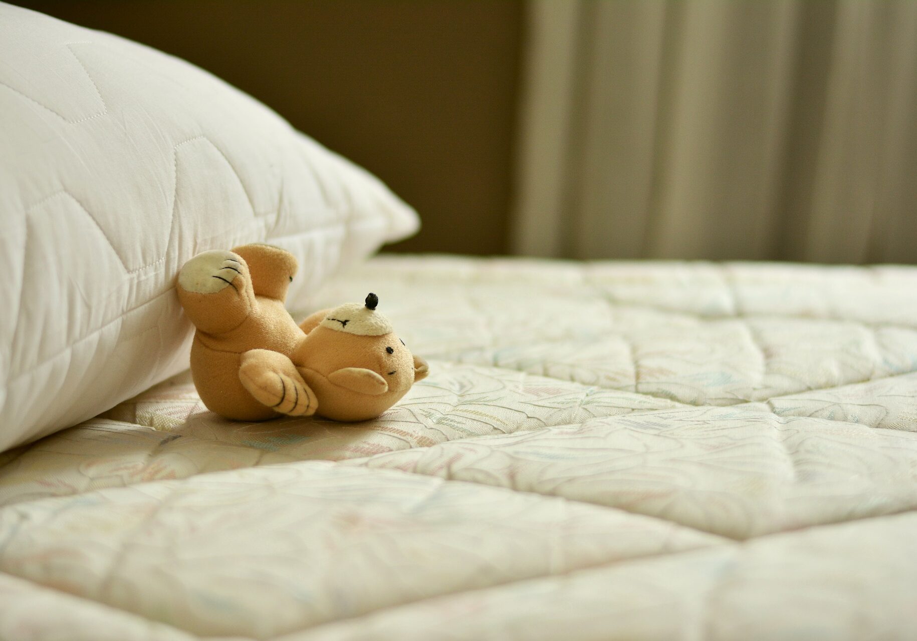 Bear on a mattress